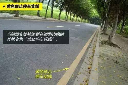 哪些标线不能压? 哪些行为属于“违反禁止标线指示”？