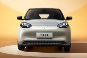 五菱缤果电动车2023款价格 新车售价5万(分期首付1万)